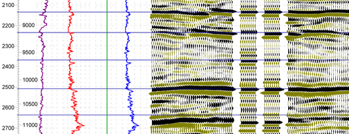 Borehole Image